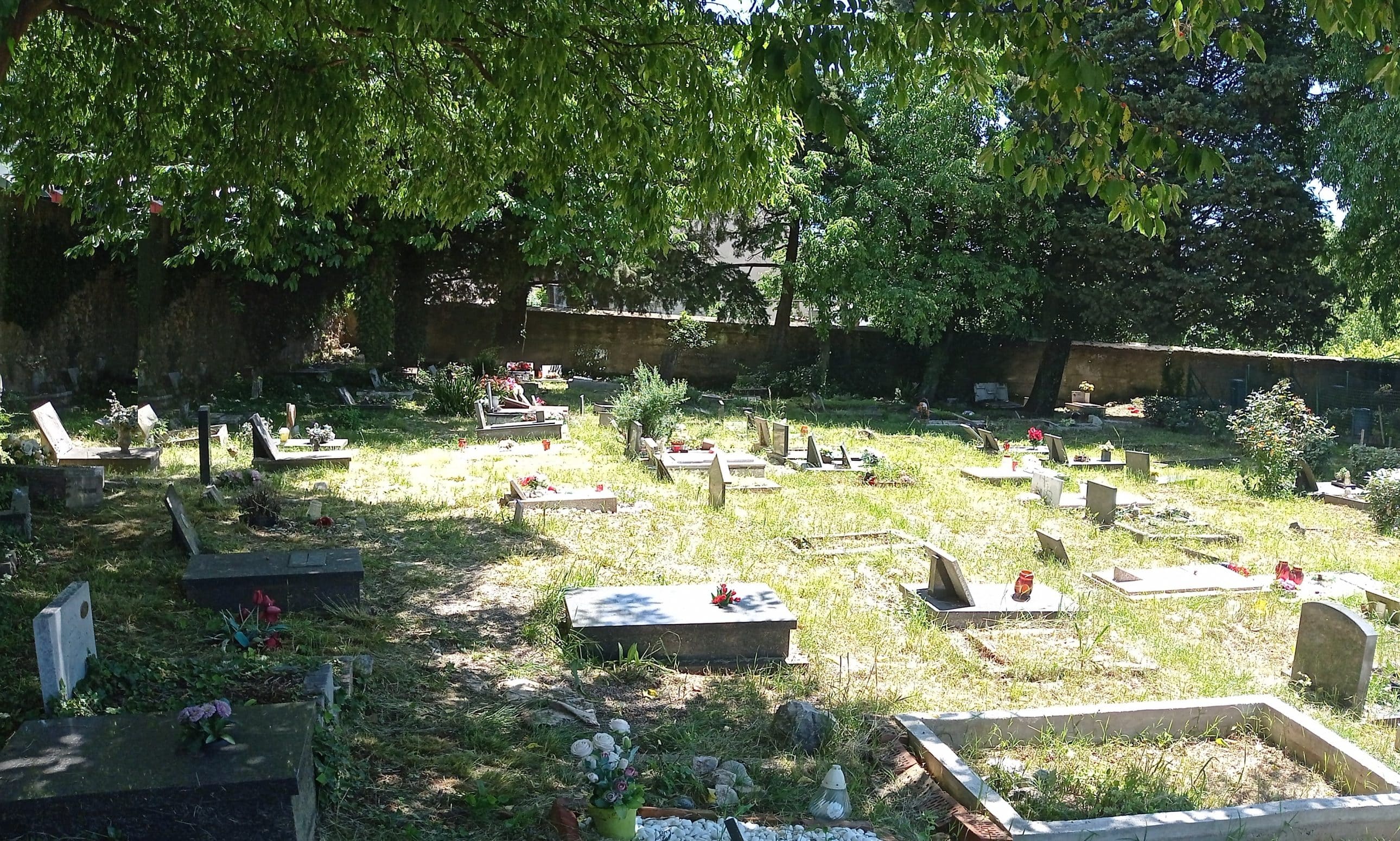 Zeleno groblje s kamenim nadgrobnim spomenicima okruženo drvećem i kamenim zidom.