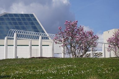 Moderna građevina s kosim staklenim krovom i procvalom magnolijom na zelenom brežuljku groblja.